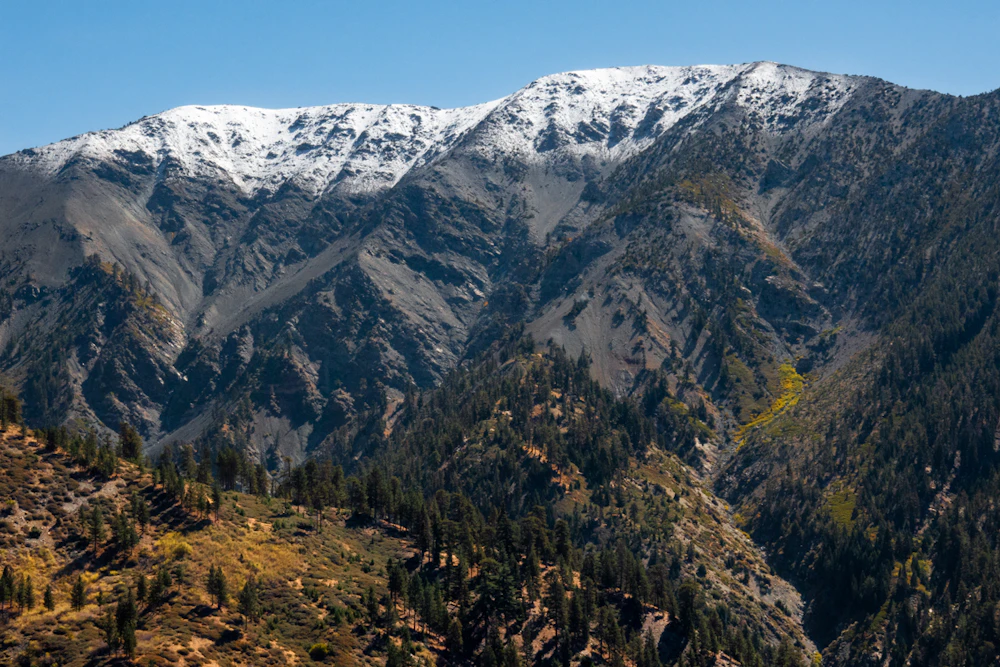 Angeles NF Mt Baldy Jeremy Boggs 421