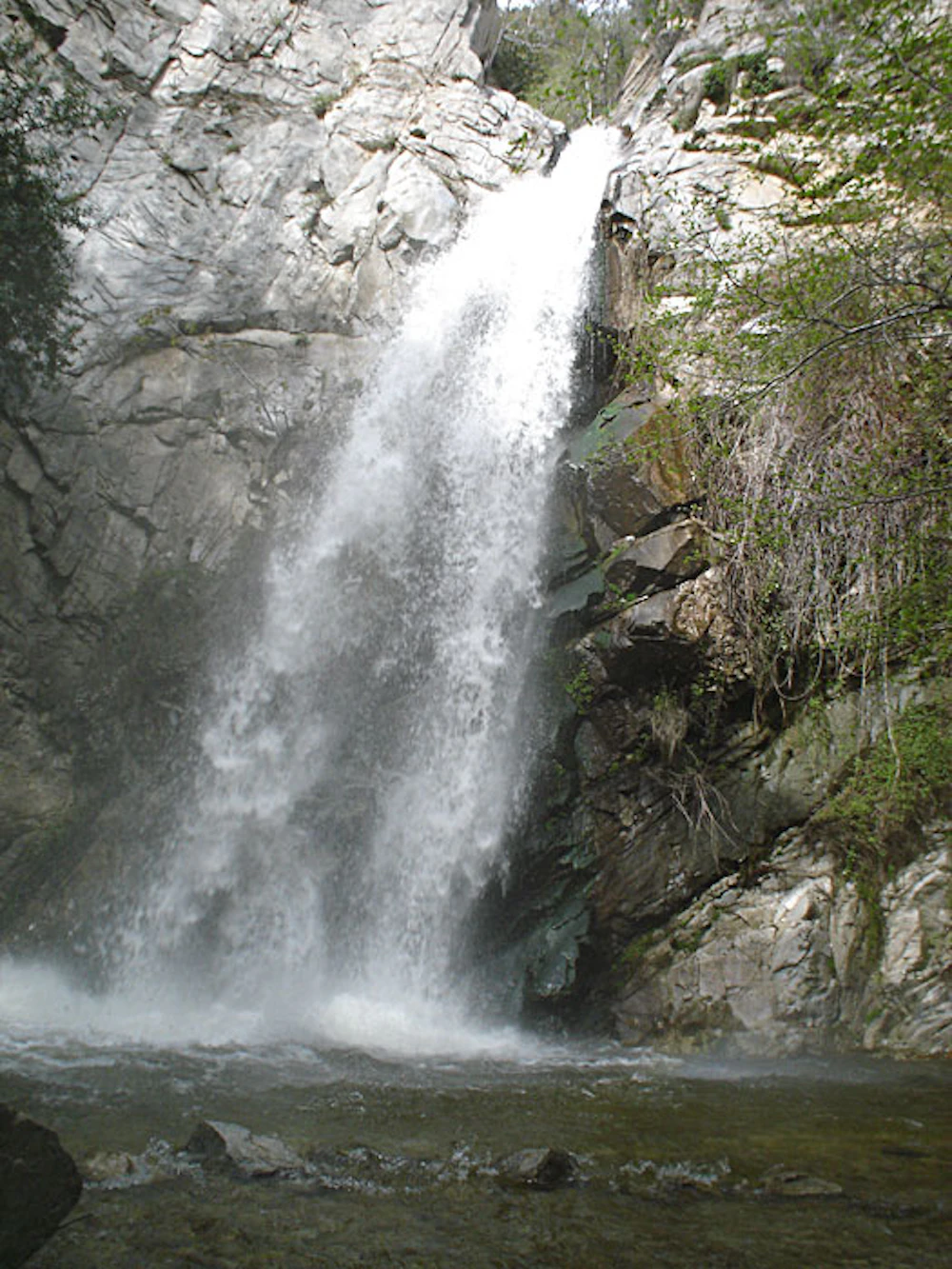 Angeles-NF Sturtevant-Falls- Ken-Shoufer