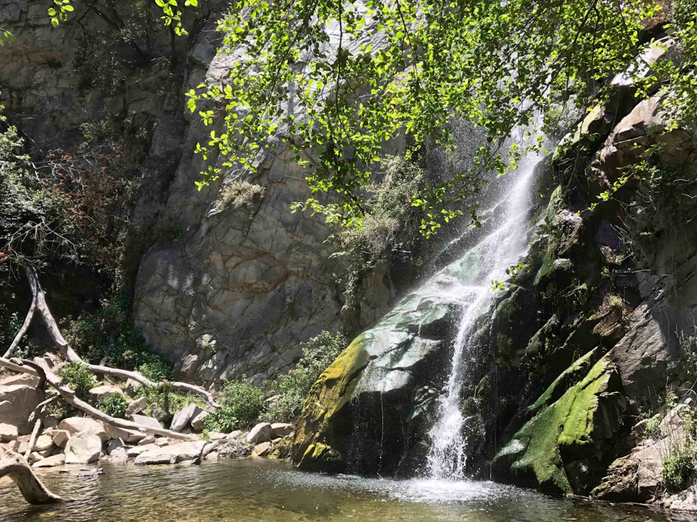 Angeles Nf Sturtevant Falls Hannah 5