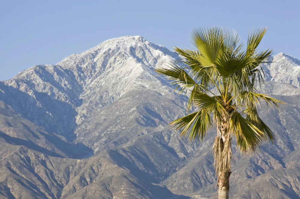Angeles National Forest istock