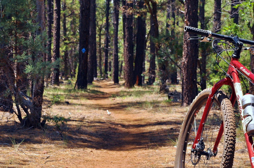 Apache Sitgreaves Nf Panorama Trail Porter Mtn Usfs 2