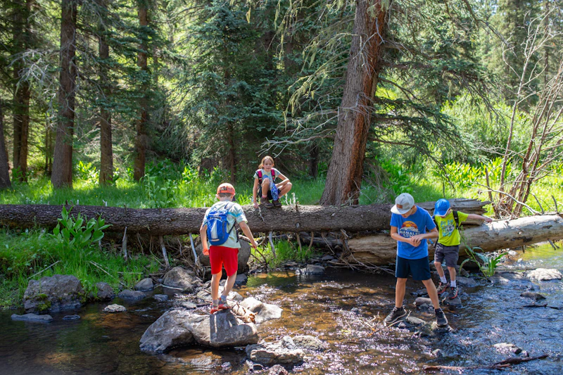 four kids playing in a creek in the forest