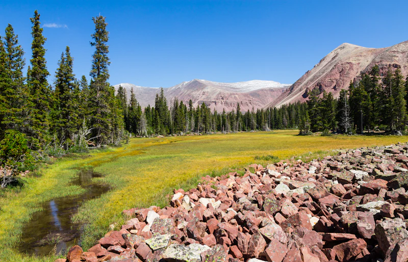 a small creek through a meadow beneath mountains
