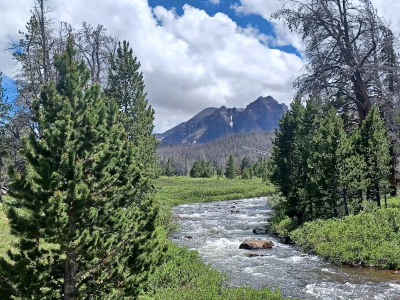 a creek flows through a meadow beneath mountain peaks