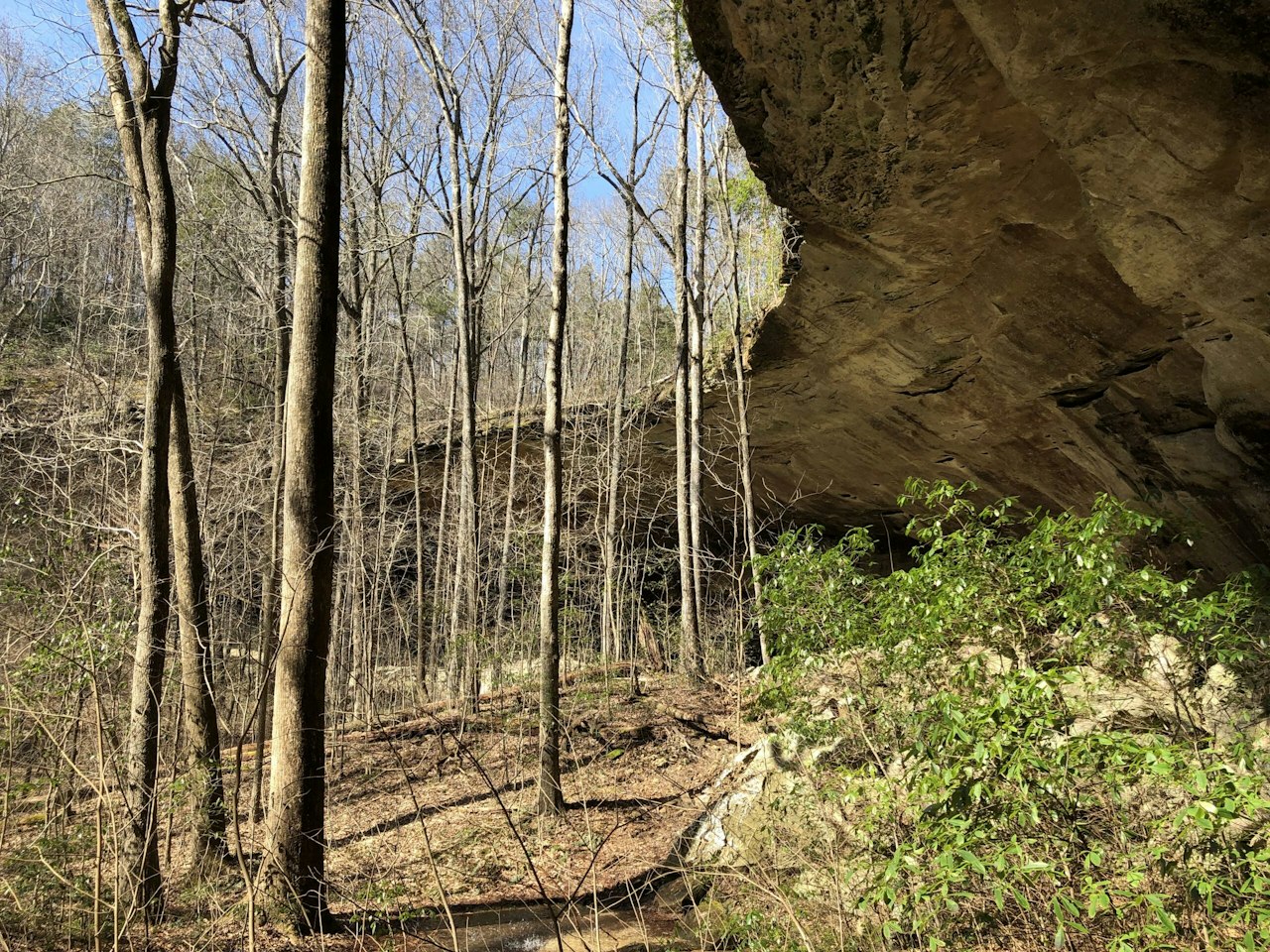National Forests in Alabama — National Forest Foundation