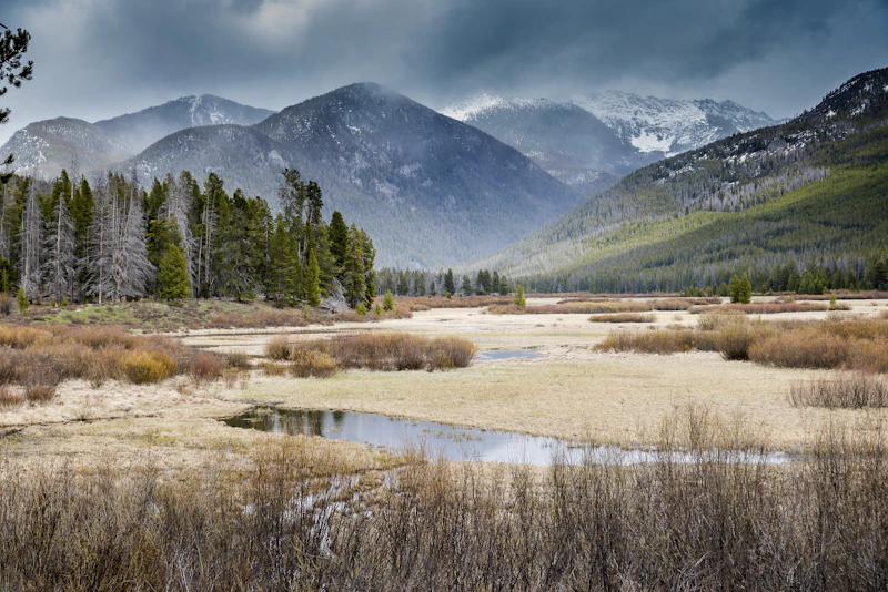 a creek and marsh in front of moody mountains