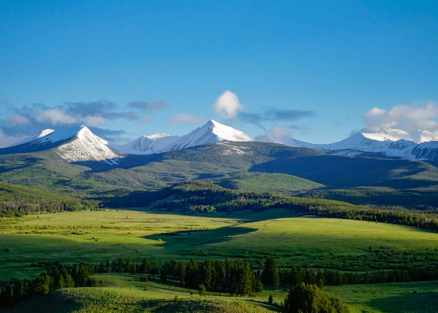 snow covered mountains in the distance in front of green prairies and forests