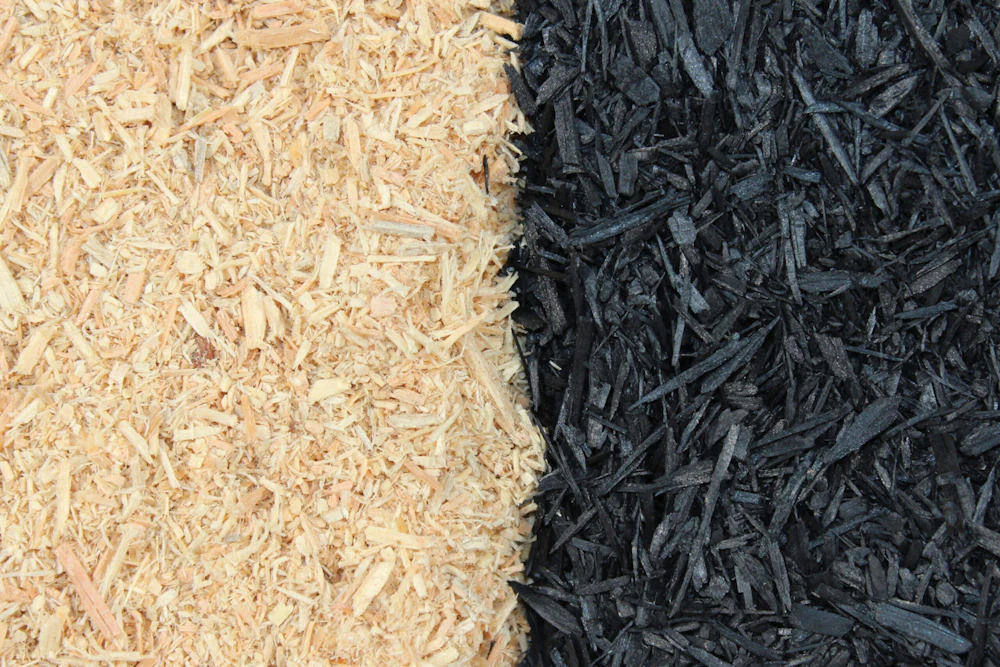 Biochar