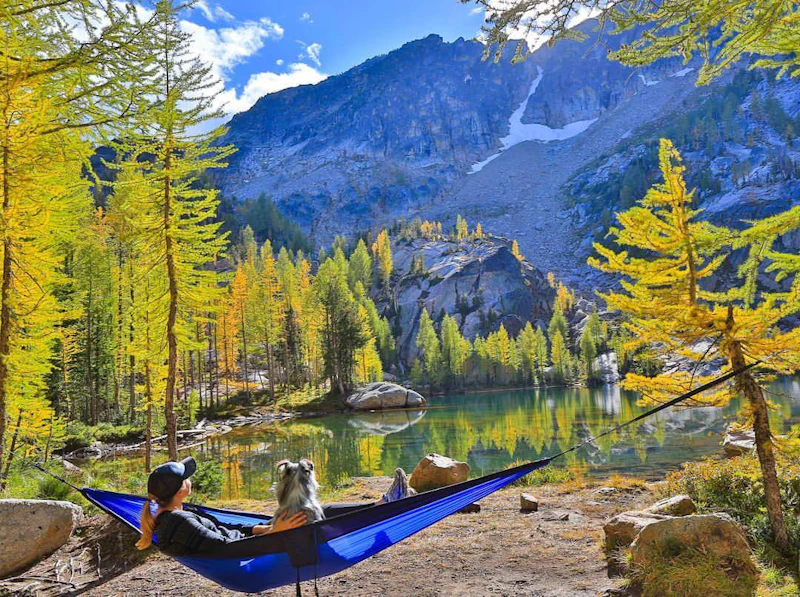 a woman sits in a hammock with her dog at an alpine lake
