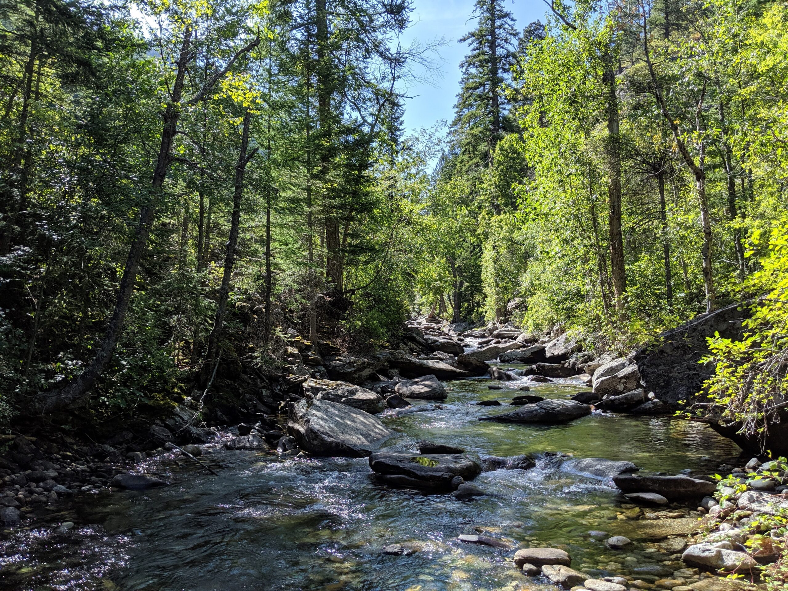 Bitterroot National Forest — National Forest Foundation