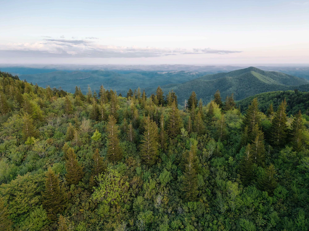 Black Balsam Knob Chris Gallaway