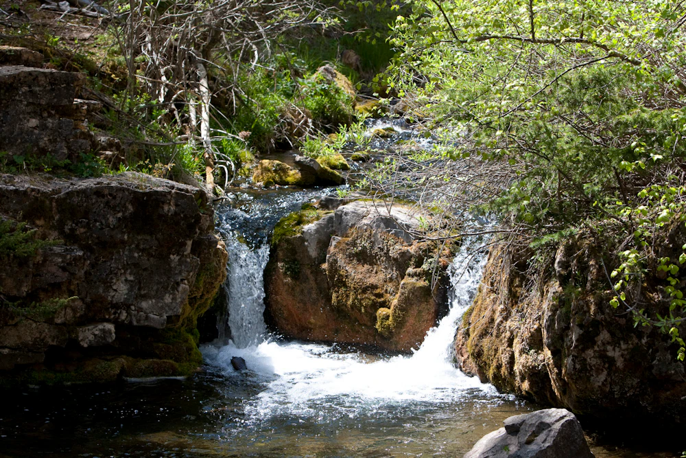Black Hills Nf Bethany Doten Usfs 2