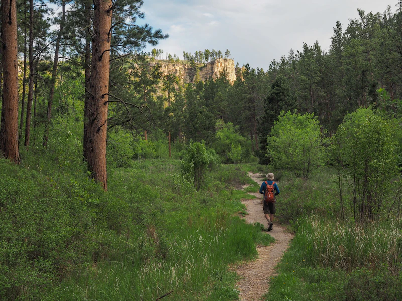 a hiker walks down a dirt path in a forest