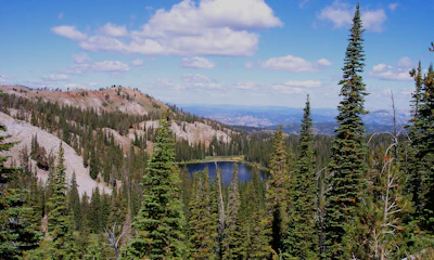 Boise Nf Big Roaring River Lake Usfs