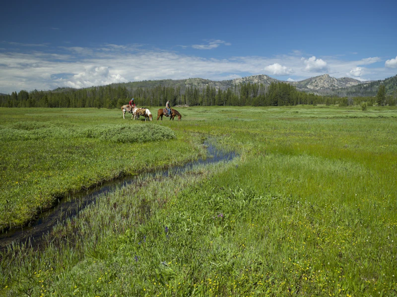 three horses and riders in a meadow near a creek