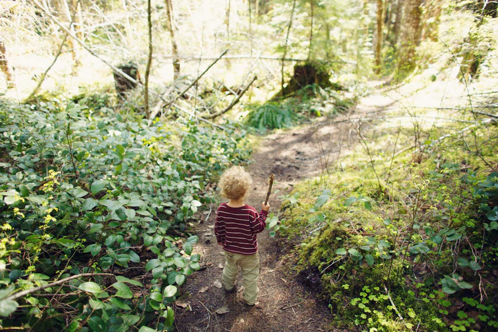 Boy-in-Woods istock small