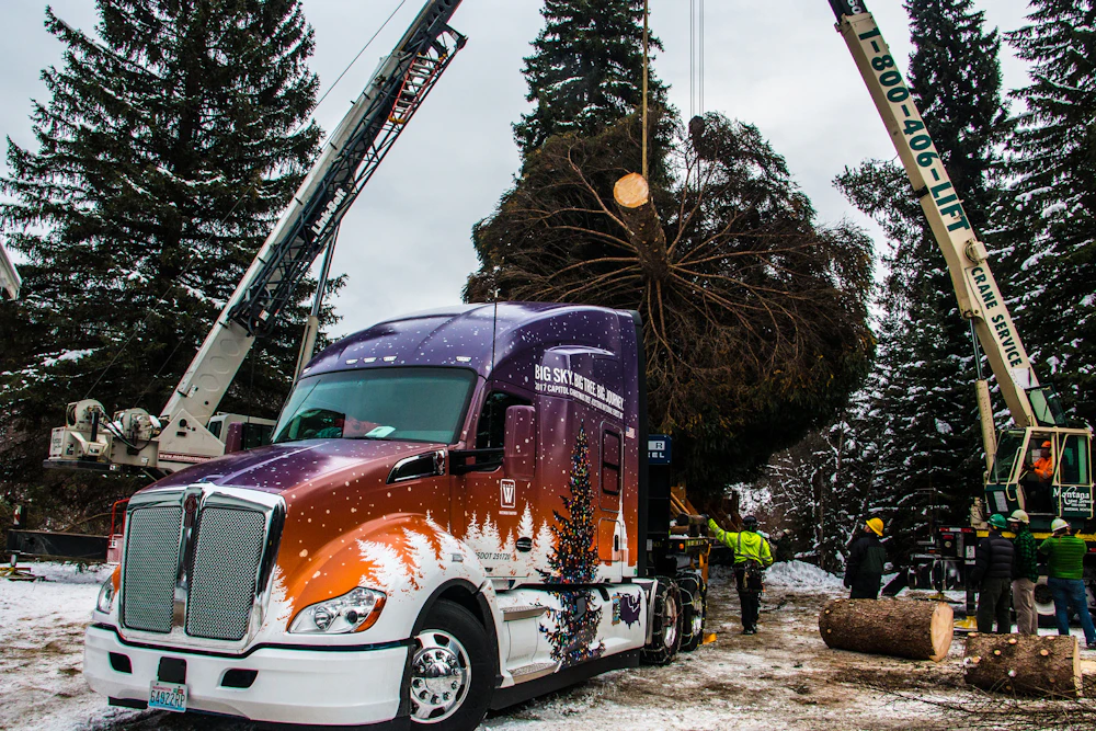 Cct 2017 Tree Cutting
