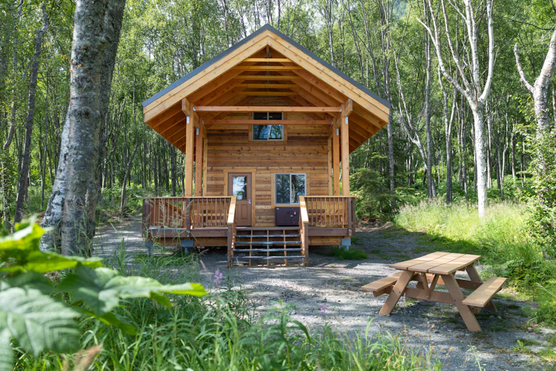 small wooden cabin in the forest