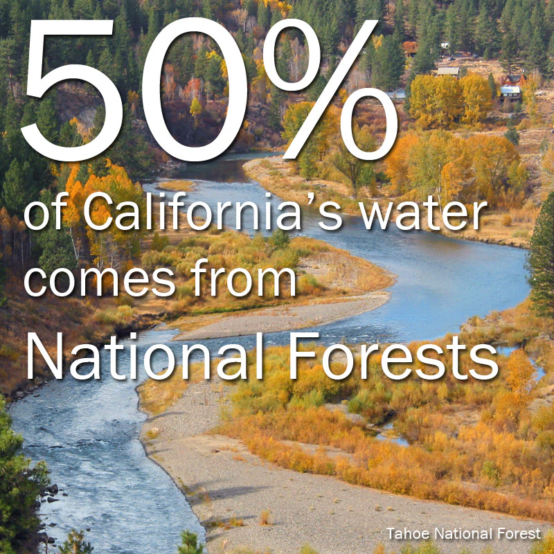 California-NF-1-copy