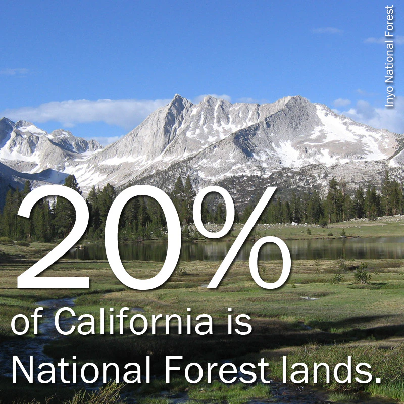 California-NF-2-copy