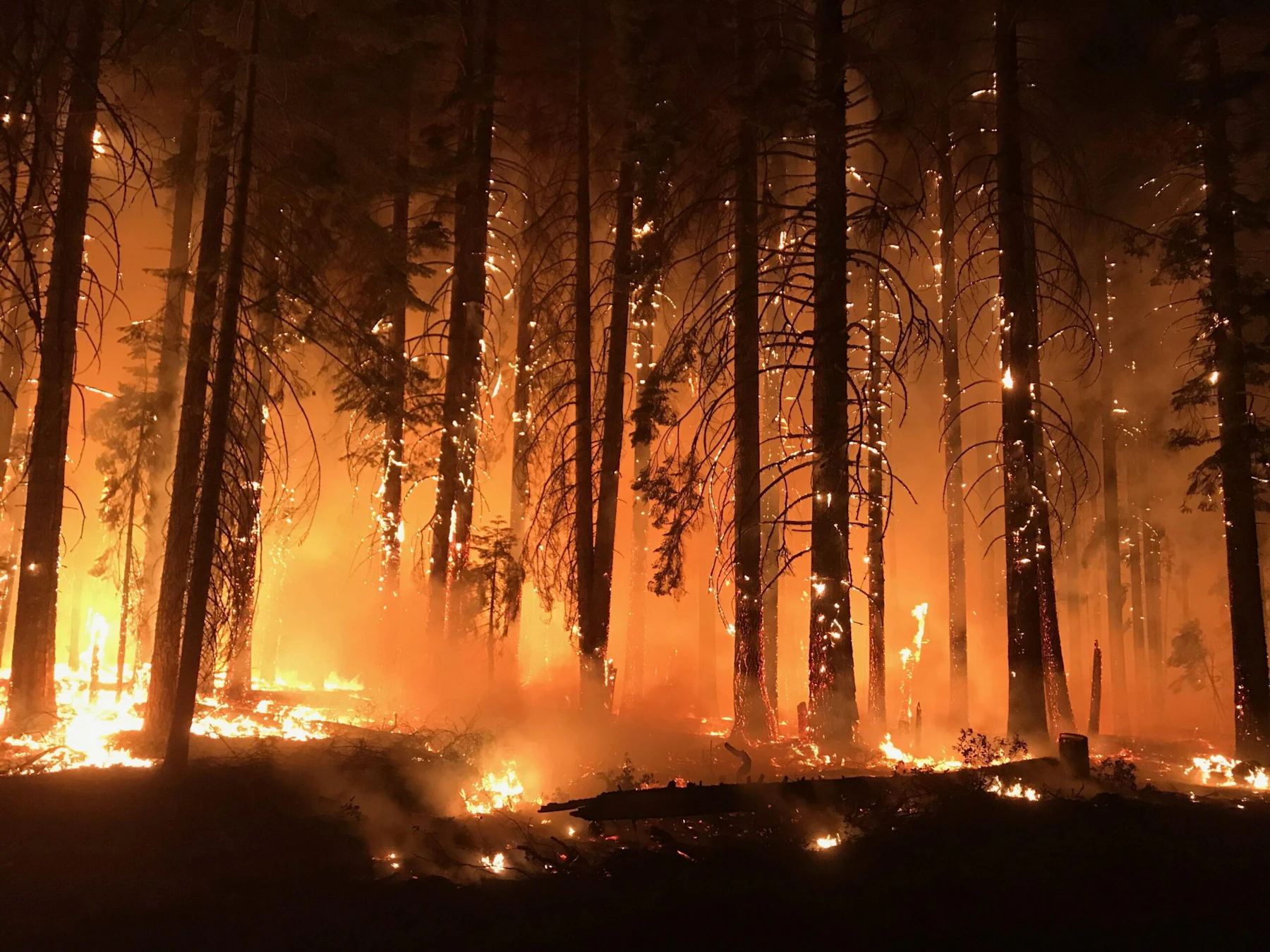Camp Fire Inciweb