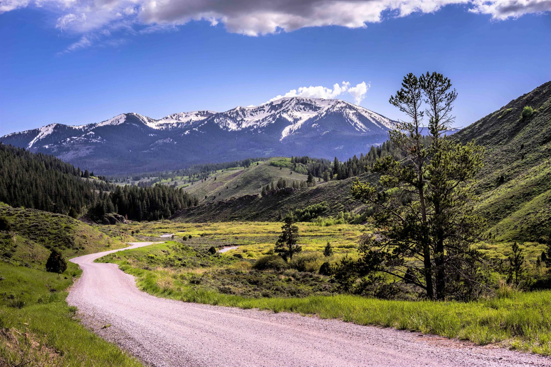 Caribou Targhee Nf Caribou Mtn Usfs