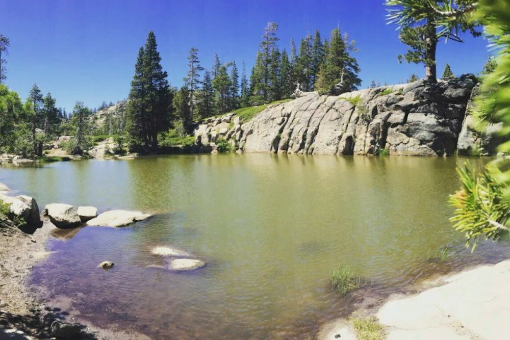Catfish pond Tahoe NF Credit USFS
