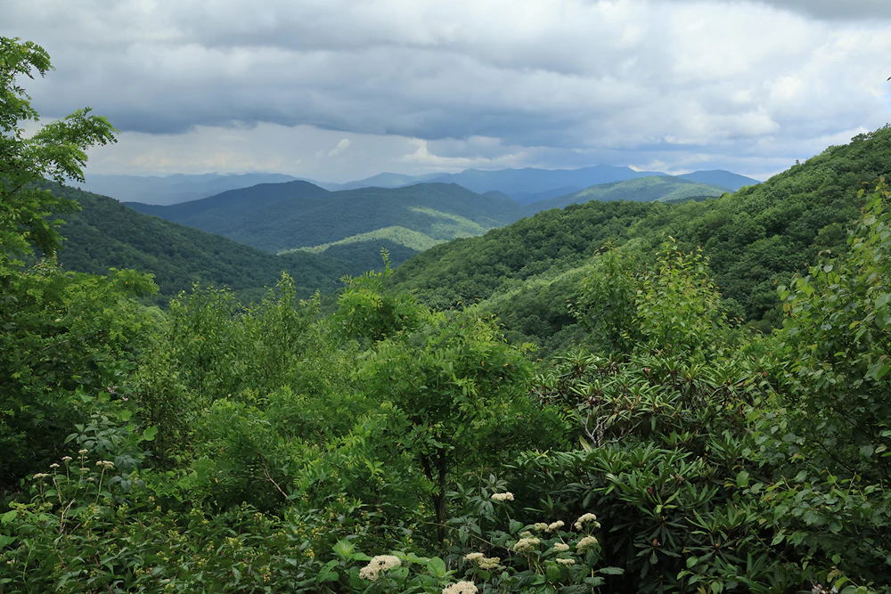 Chatt Oconoee Hogpen Gap View USFS Larry Winslett Photography