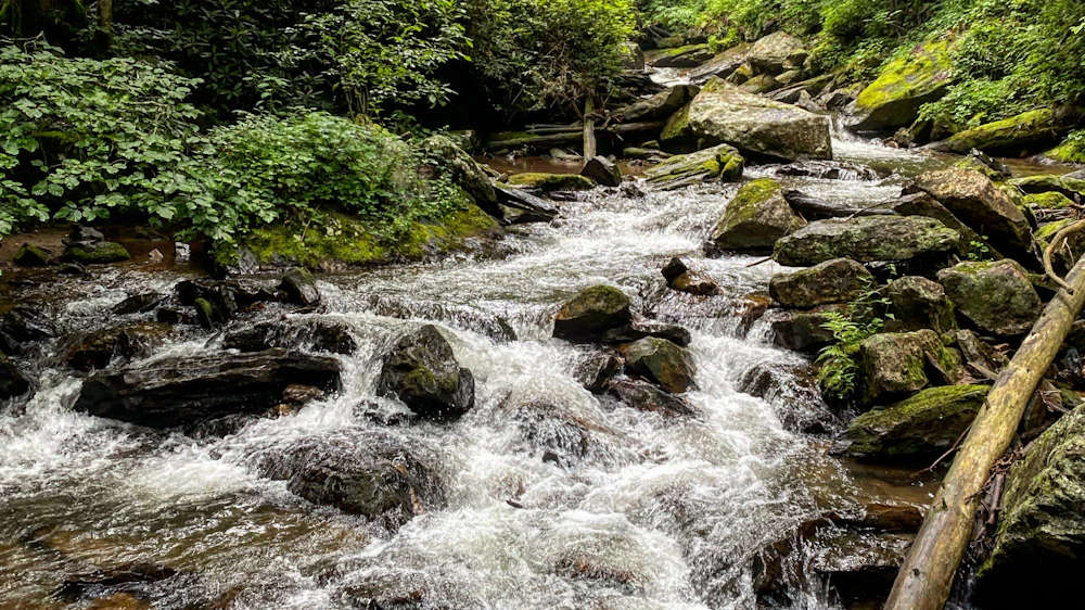 Chattahoochee NF Anna Ruby Falls Elizabeth Moloney 2024 2