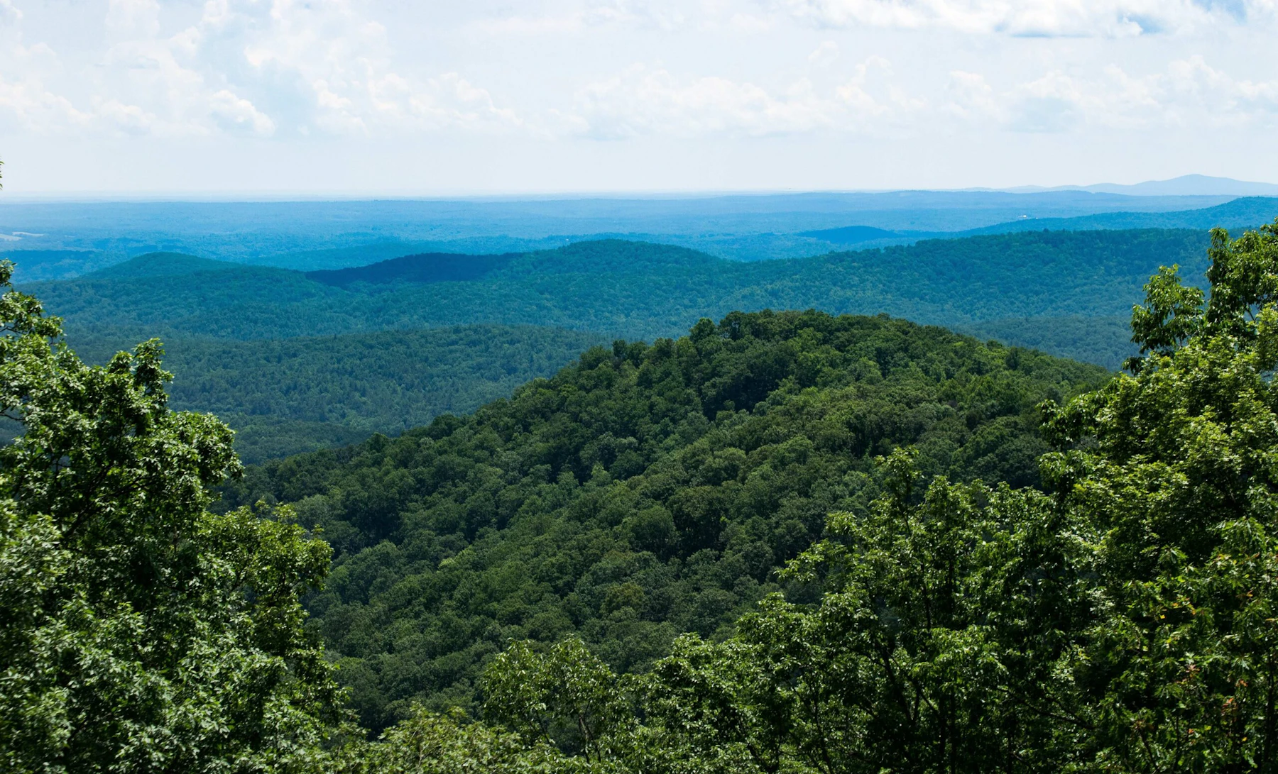 Chattahoochee NF Deborah Steir 45