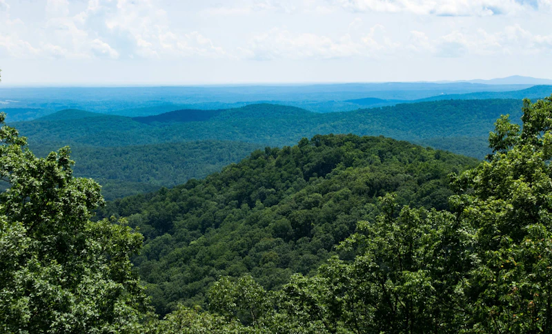 Chattahoochee NF Deborah Steir 45