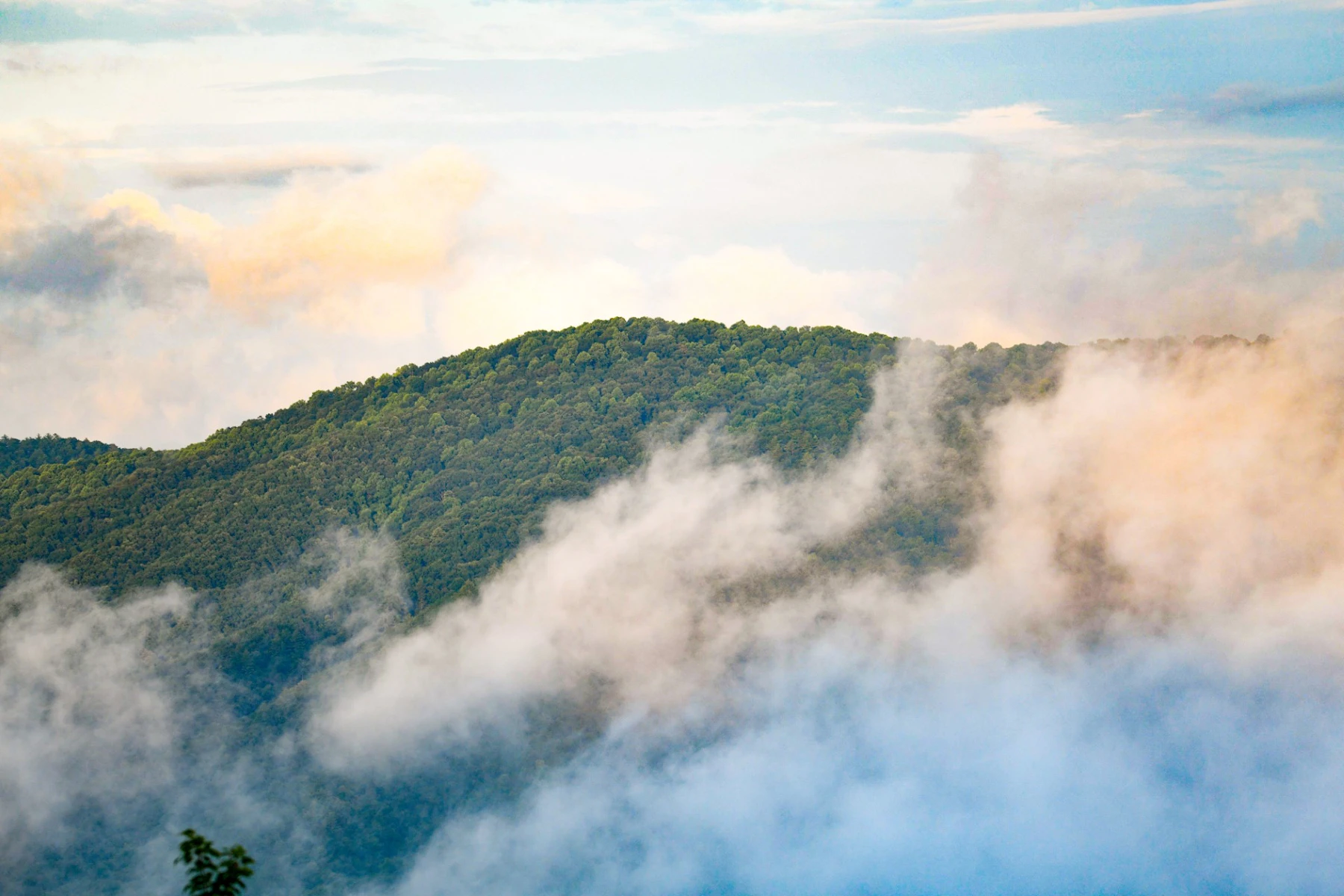 Fog lifts from mountains.