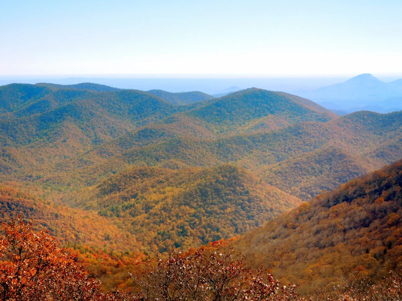 Rolling mountains covered in fall colors.
