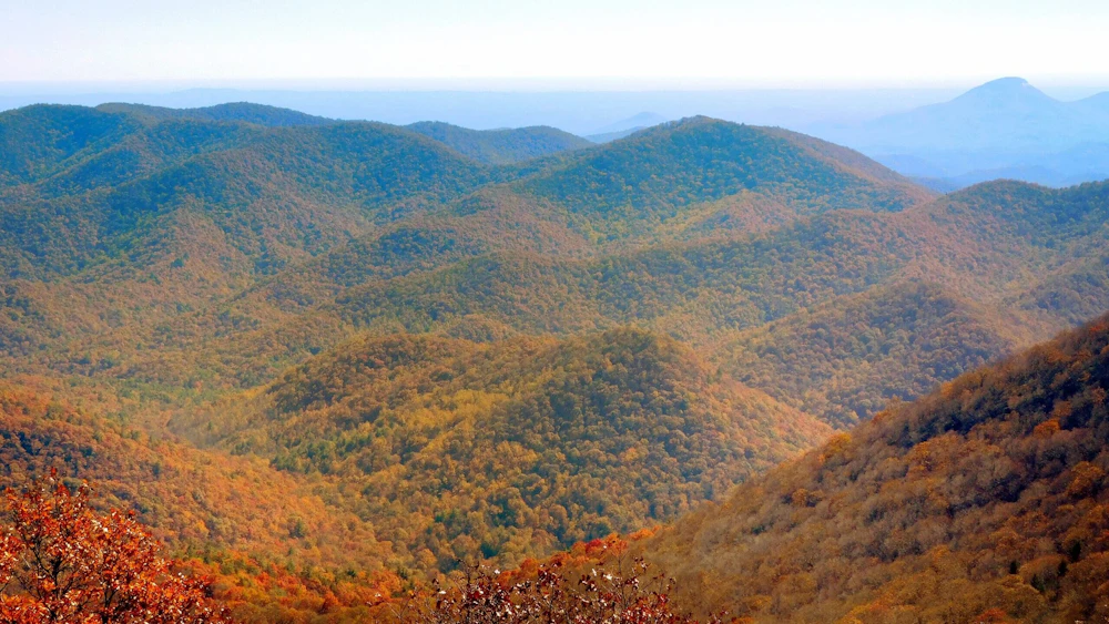 Chattahoochee Oconee Nf Brasstown Susan Foster