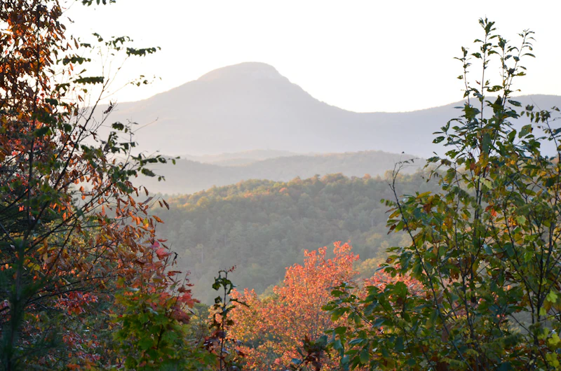 ChattahoocheeNF USFS Mitch-Cohen-Flickr-Commons
