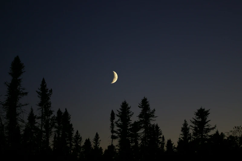 Chequamegon Nicolet Nf Headwaters Wilderness Michael Hughes