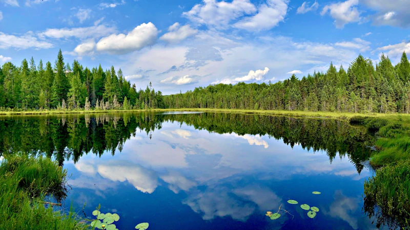 Lake.