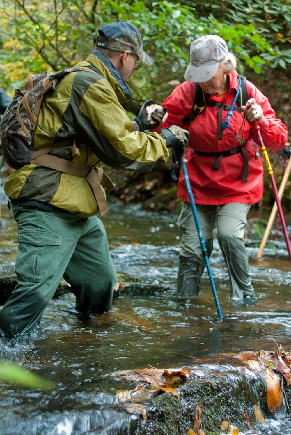 Cherokee Nf Upper Bald River Wilderness Study Area Laura Hodge 2