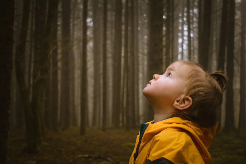 Young girl looks up into the trees.