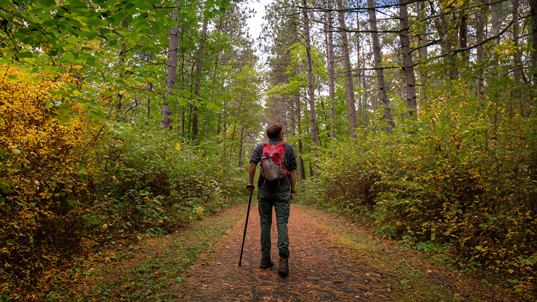Chippewa NF USFS fall expanded