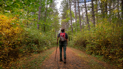 Chippewa NF USFS fall expanded