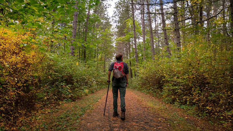 Chippewa NF USFS fall expanded