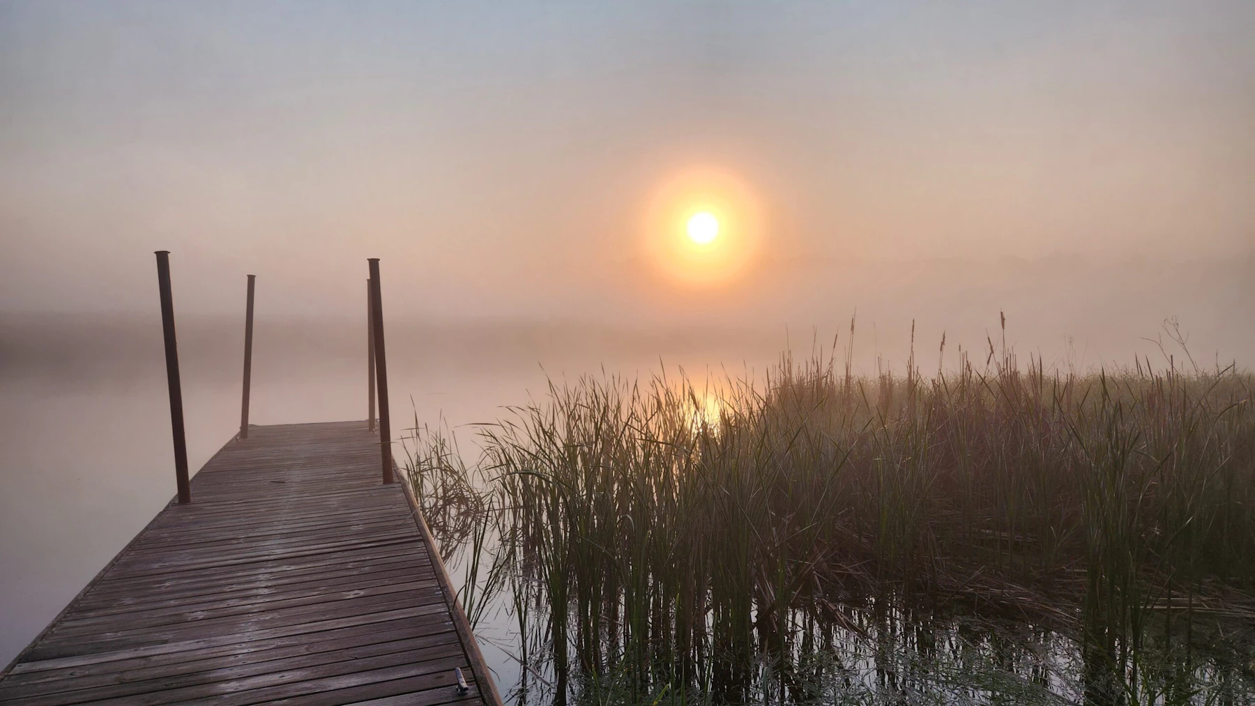 The trees across the river are just beginning to emerge through the early morning fog.