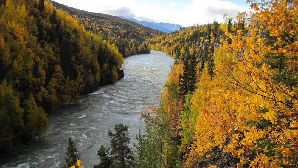 Chugach Nf Kenai River Canyon Usfs Marion Glaser