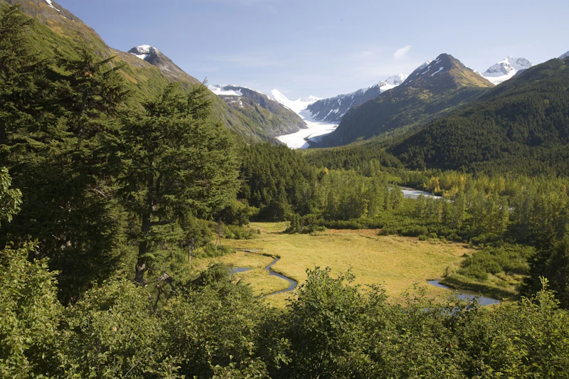 Mountain valley creek.
