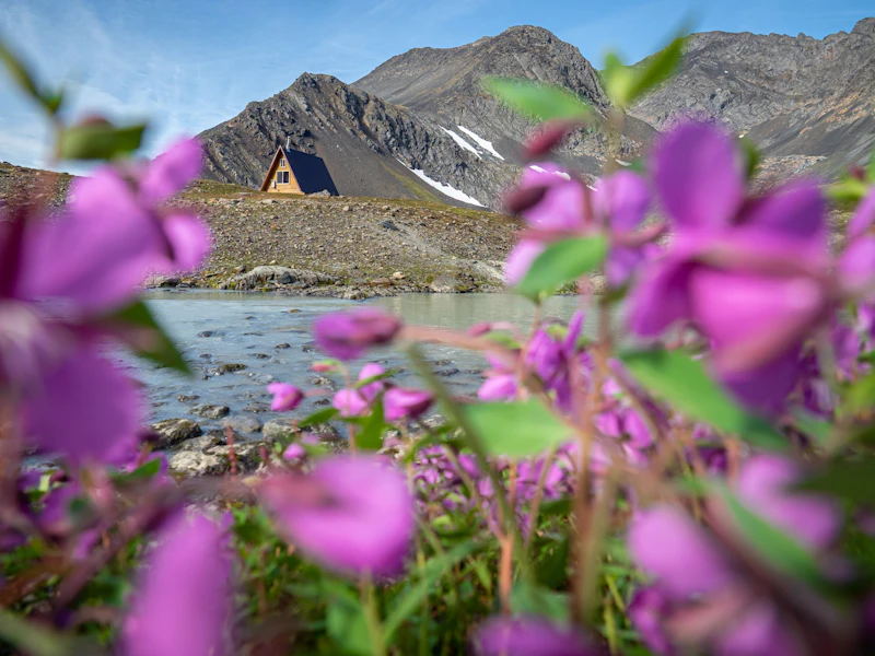 View of the cabin across a bay through wildflowers.