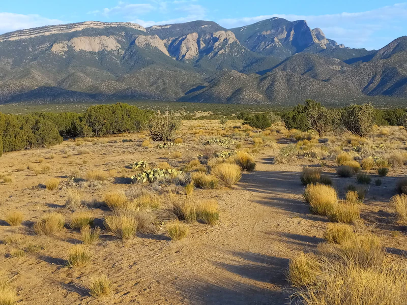 Desert trail.