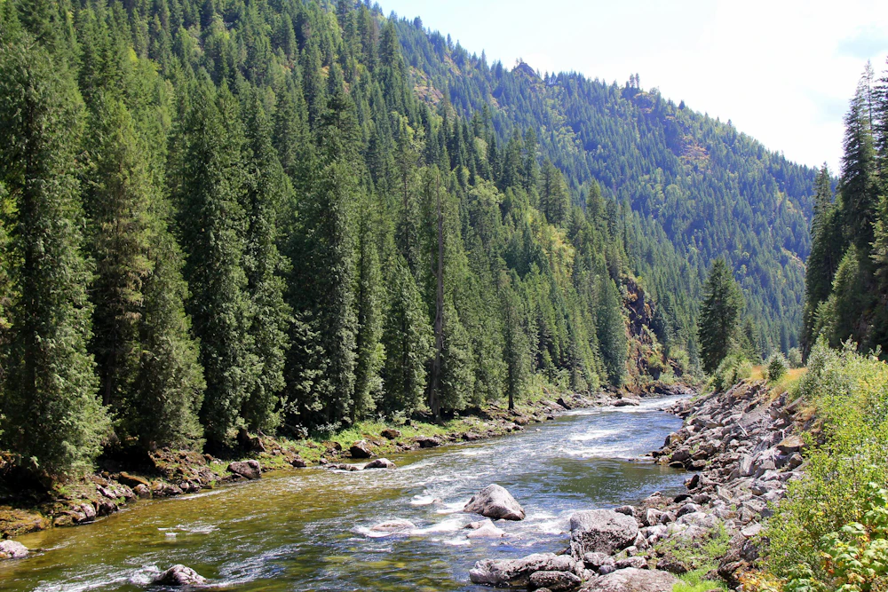 Clearwater-NF Lochsa-River USFS