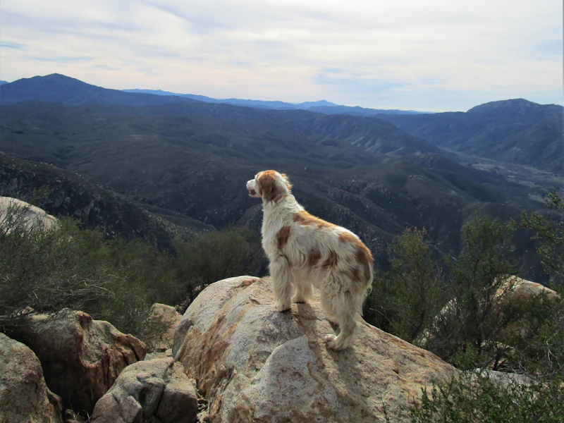 a dock stands on a large rock overlooking a mountain view