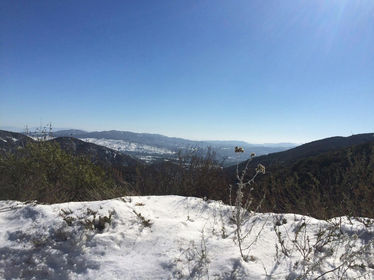 NFF Celebrates Ski Conservation Fund in Colorado — National Forest ...
